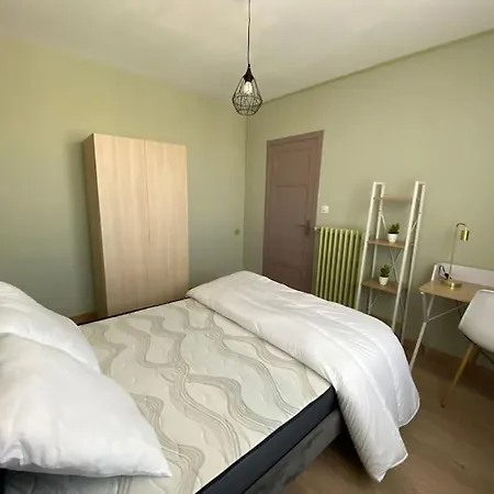 6 Couchages Pres Chu - Daguerre Apartment Clermont-Ferrand